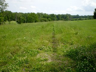 Property photo 8 - LAND AUCTION, 321+/- Acres offered in 7 Tracts