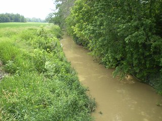 Property photo 7 - LAND AUCTION, 321+/- Acres offered in 7 Tracts