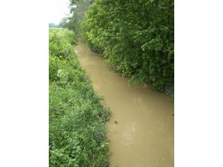Property photo 10 - LAND AUCTION, 321+/- Acres offered in 7 Tracts