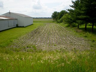 Property photo 43 - LAND AUCTION, 321+/- Acres offered in 7 Tracts