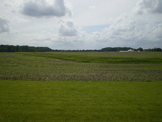 Property photo 27 - LAND AUCTION, 321+/- Acres offered in 7 Tracts