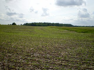 Property photo 45 - LAND AUCTION, 321+/- Acres offered in 7 Tracts