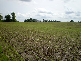 Property photo 44 - LAND AUCTION, 321+/- Acres offered in 7 Tracts
