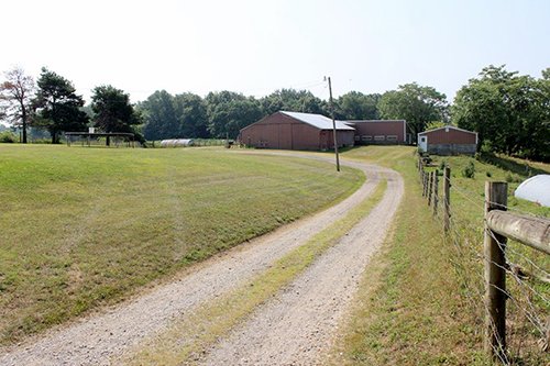 Property photo 8 - REAL ESTATE AUCTION, 39+/- Acres offered in 3 Tracts