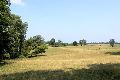 Property photo 1 - REAL ESTATE AUCTION, 39+/- Acres offered in 3 Tracts