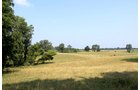 Property photo 1 - REAL ESTATE AUCTION, 39+/- Acres offered in 3 Tracts