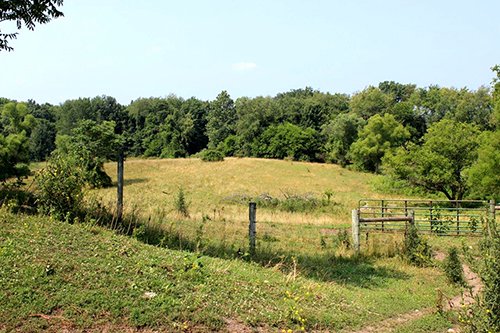 Property photo 2 - REAL ESTATE AUCTION, 39+/- Acres offered in 3 Tracts