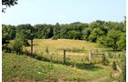 Property photo 2 - REAL ESTATE AUCTION, 39+/- Acres offered in 3 Tracts