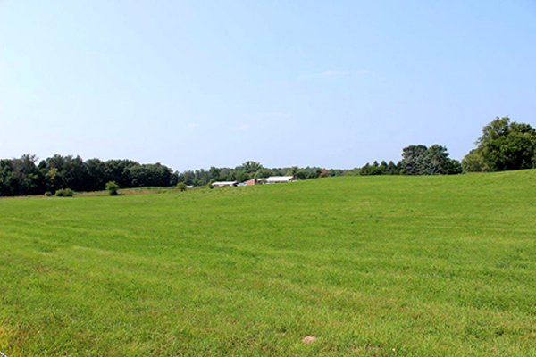 REAL ESTATE AUCTION, 39+/- Acres offered in 3 Tracts