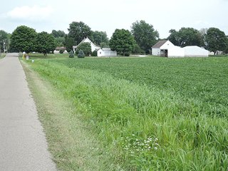 Road Frontage along 600 S - LAND AUCTION, 187+/- Acres offered in 6 Tracts
