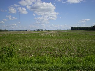 Property photo 3 - LAND AUCTION, 187+/- Acres offered in 6 Tracts