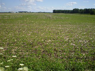 Property photo 2 - LAND AUCTION, 187+/- Acres offered in 6 Tracts