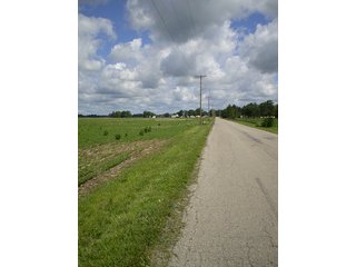 Property photo 8 - LAND AUCTION, 187+/- Acres offered in 6 Tracts