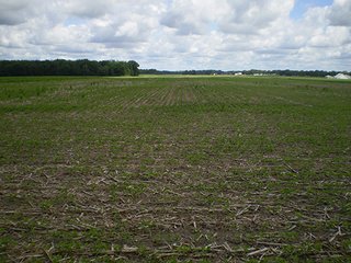 Property photo 5 - LAND AUCTION, 187+/- Acres offered in 6 Tracts