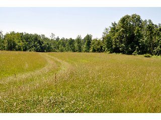 Property photo 3 - LAND AUCTION, 140.15+/- Acres