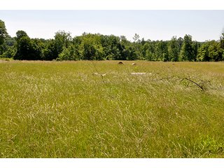 Property photo 5 - LAND AUCTION, 140.15+/- Acres