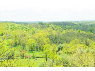 Property photo 31 - OHIO LAND AUCTION - 1966+/- ACRES IN 41 TRACTS. EXCELLENT HUNTING HABITAT, SCENIC, PRISTINE BUILDING SITES