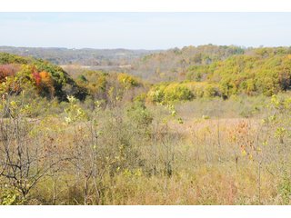 Tracts 19-26 - OHIO LAND AUCTION - 1966+/- ACRES IN 41 TRACTS. EXCELLENT HUNTING HABITAT, SCENIC, PRISTINE BUILDING SITES
