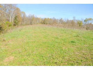 Tracts 40-41 - OHIO LAND AUCTION - 1966+/- ACRES IN 41 TRACTS. EXCELLENT HUNTING HABITAT, SCENIC, PRISTINE BUILDING SITES