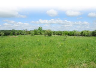 Tracts 19-26 - OHIO LAND AUCTION - 1966+/- ACRES IN 41 TRACTS. EXCELLENT HUNTING HABITAT, SCENIC, PRISTINE BUILDING SITES