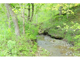 Tracts 33-35 - OHIO LAND AUCTION - 1966+/- ACRES IN 41 TRACTS. EXCELLENT HUNTING HABITAT, SCENIC, PRISTINE BUILDING SITES