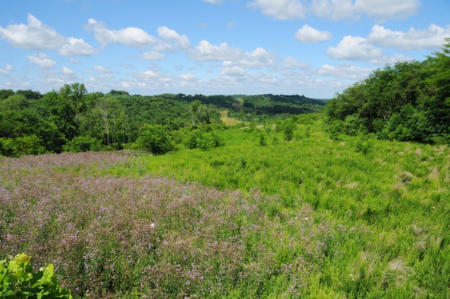 OHIO LAND AUCTION - 1966+/- ACRES IN 41 TRACTS. EXCELLENT HUNTING HABITAT, SCENIC, PRISTINE BUILDING SITES