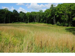 Tracts 1-18 - OHIO LAND AUCTION - 1966+/- ACRES IN 41 TRACTS. EXCELLENT HUNTING HABITAT, SCENIC, PRISTINE BUILDING SITES