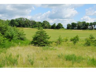 Tracts 1-18 - OHIO LAND AUCTION - 1966+/- ACRES IN 41 TRACTS. EXCELLENT HUNTING HABITAT, SCENIC, PRISTINE BUILDING SITES