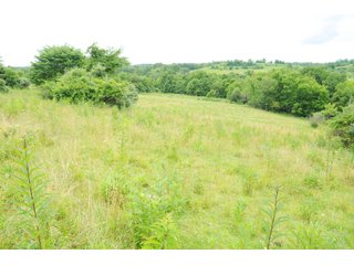 Tract 39 - OHIO LAND AUCTION - 1966+/- ACRES IN 41 TRACTS. EXCELLENT HUNTING HABITAT, SCENIC, PRISTINE BUILDING SITES