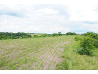 Tracts 27-30 - OHIO LAND AUCTION - 1966+/- ACRES IN 41 TRACTS. EXCELLENT HUNTING HABITAT, SCENIC, PRISTINE BUILDING SITES