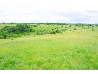 Tracts 27-30 - OHIO LAND AUCTION - 1966+/- ACRES IN 41 TRACTS. EXCELLENT HUNTING HABITAT, SCENIC, PRISTINE BUILDING SITES