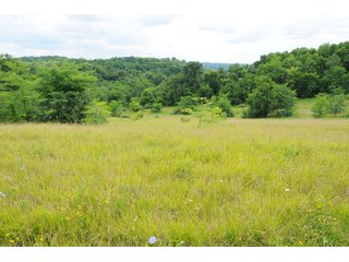 Tracts 27-30 - OHIO LAND AUCTION - 1966+/- ACRES IN 41 TRACTS. EXCELLENT HUNTING HABITAT, SCENIC, PRISTINE BUILDING SITES