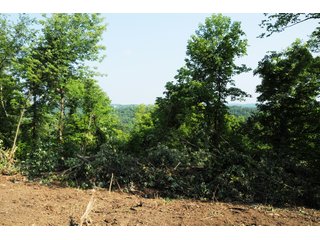 Tracts 36-68 - OHIO LAND AUCTION - 1966+/- ACRES IN 41 TRACTS. EXCELLENT HUNTING HABITAT, SCENIC, PRISTINE BUILDING SITES