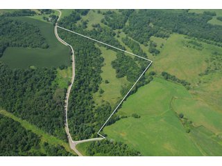 Tract 39 - OHIO LAND AUCTION - 1966+/- ACRES IN 41 TRACTS. EXCELLENT HUNTING HABITAT, SCENIC, PRISTINE BUILDING SITES