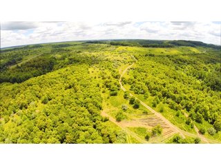Tracts 19-26 - OHIO LAND AUCTION - 1966+/- ACRES IN 41 TRACTS. EXCELLENT HUNTING HABITAT, SCENIC, PRISTINE BUILDING SITES