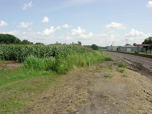 Property photo 4 - POSTPONED! LAND AUCTION, 192+/- Acres offered in 2 Tracts