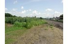 Property photo 4 - POSTPONED! LAND AUCTION, 192+/- Acres offered in 2 Tracts
