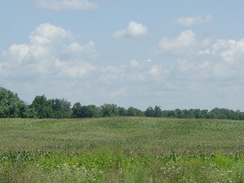 Property photo 6 - POSTPONED! LAND AUCTION, 192+/- Acres offered in 2 Tracts