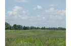 Property photo 6 - POSTPONED! LAND AUCTION, 192+/- Acres offered in 2 Tracts