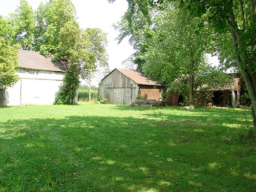 Property photo 3 - POSTPONED! LAND AUCTION, 192+/- Acres offered in 2 Tracts