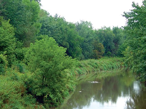 Property photo 5 - POSTPONED! LAND AUCTION, 192+/- Acres offered in 2 Tracts