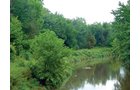 Property photo 5 - POSTPONED! LAND AUCTION, 192+/- Acres offered in 2 Tracts