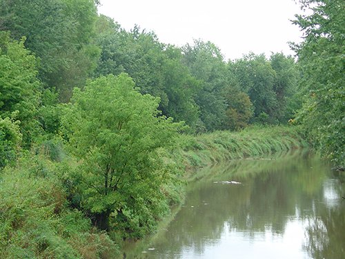 Property photo 8 - POSTPONED! LAND AUCTION, 192+/- Acres offered in 2 Tracts