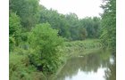 Property photo 8 - POSTPONED! LAND AUCTION, 192+/- Acres offered in 2 Tracts