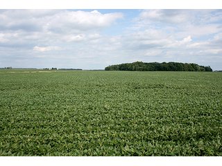 Level Tillable Land, Tract 1 - REAL ESTATE & PERSONAL PROPERTY AUCTION, 69+/- Acres offered in 3 Tracts