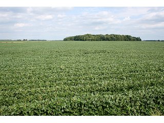 Level Tillable Land, Tract 1 - REAL ESTATE & PERSONAL PROPERTY AUCTION, 69+/- Acres offered in 3 Tracts