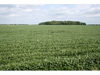 Level Tillable Land, Tract 1 - REAL ESTATE & PERSONAL PROPERTY AUCTION, 69+/- Acres offered in 3 Tracts