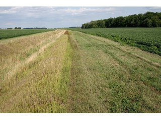 Drainage Ditches Provide Excellent Outlets - REAL ESTATE & PERSONAL PROPERTY AUCTION, 69+/- Acres offered in 3 Tracts