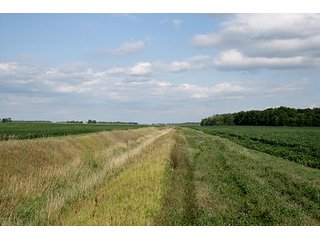 Drainage Ditches Provide Excellent Outlets - REAL ESTATE & PERSONAL PROPERTY AUCTION, 69+/- Acres offered in 3 Tracts