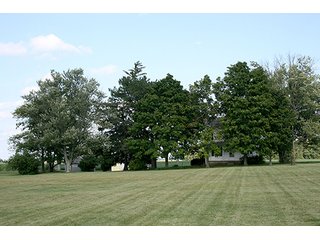 Spacious Front Yard, Tract 3 - REAL ESTATE & PERSONAL PROPERTY AUCTION, 69+/- Acres offered in 3 Tracts